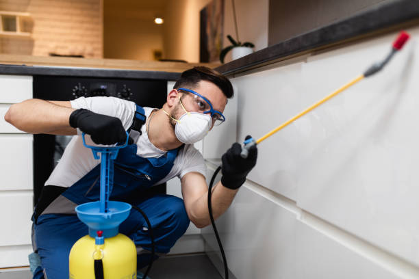 Reliable Oakland, NE Pest Control Solutions