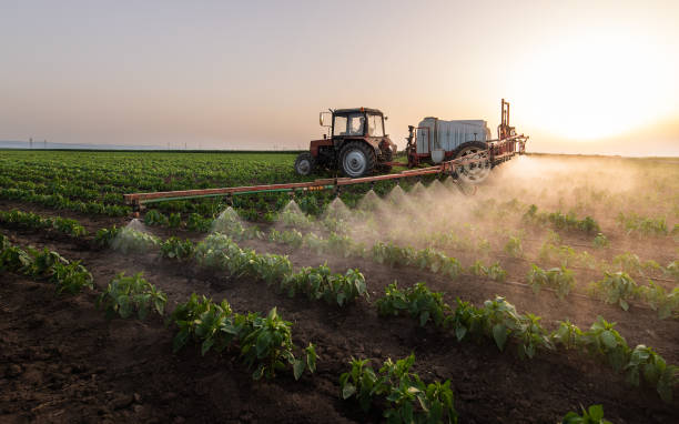 Best Wildlife Control Services  in Oakland, NE