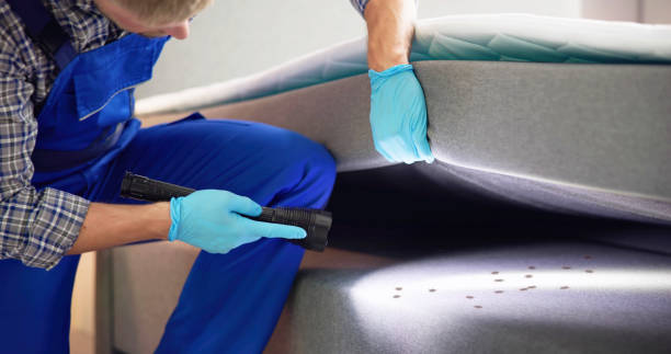 Best Affordable Pest Control Services  in Oakland, NE