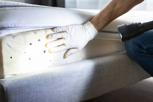 Best Emergency Pest Control  in Oakland, NE