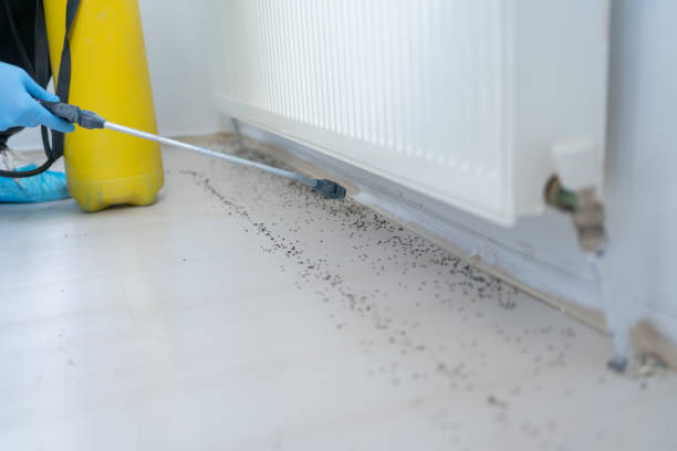 Best Commercial Pest Control Services  in Oakland, NE