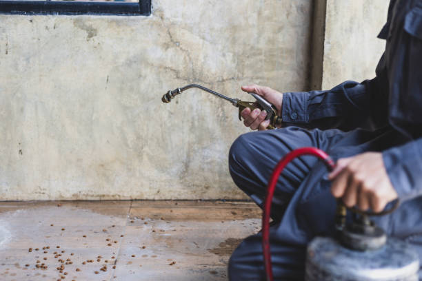 Best Affordable Pest Control Services  in Oakland, NE